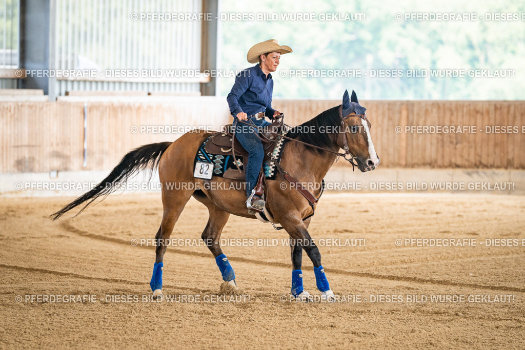 DSC04206 | Pferdegrafie