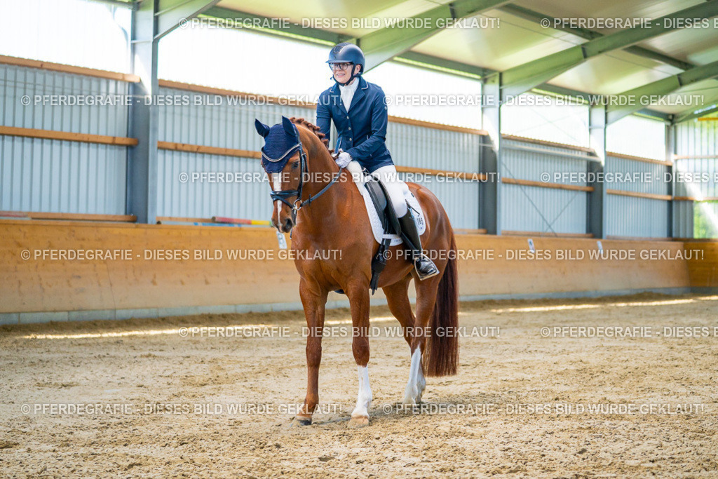 DSC06564 | Pferdegrafie