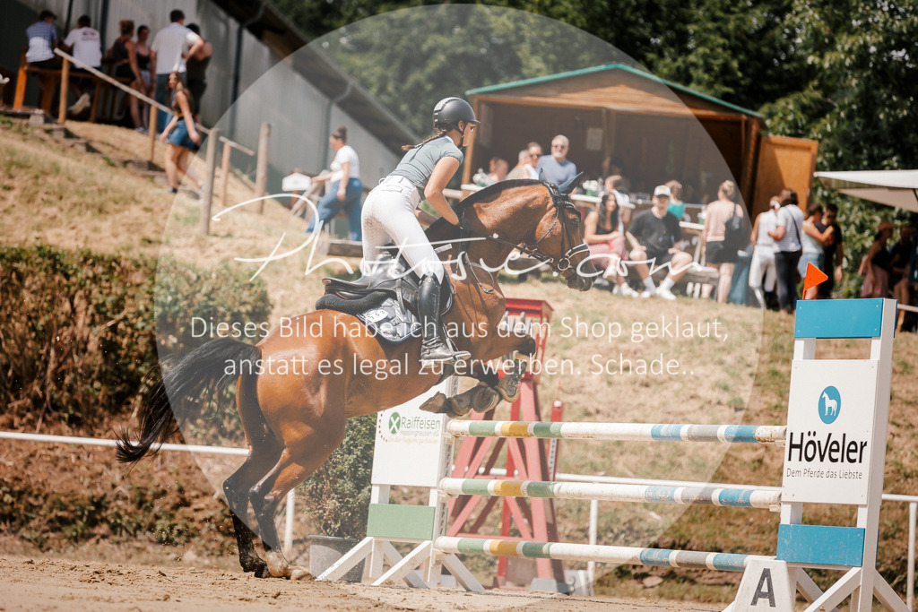3I6A8010 | Stimmungsvolle Portraits und Reitsportfotografie im Ruhrgebiet und im Münsterland.

Pferdefotografie, Hundefotografie, Tierfotografie, Reportagen, Portraits von Tier und Mensch, Turnierfotografie in Bochum, Recklinghausen, Marl, Haltern am See, Dülmen.. - Realisiert mit Pictrs.com