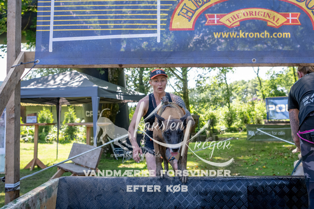 1504_ZZ90152 | kk-dogfotos