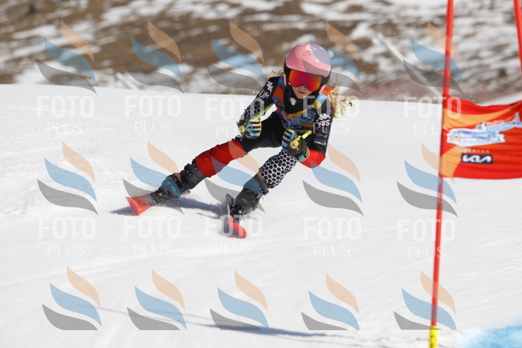 _U3G9633 | holidayphoto