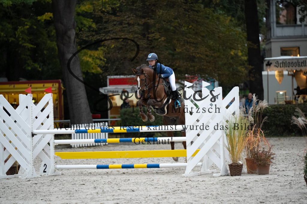 A7V08825 | Turnier/Reitfotograf