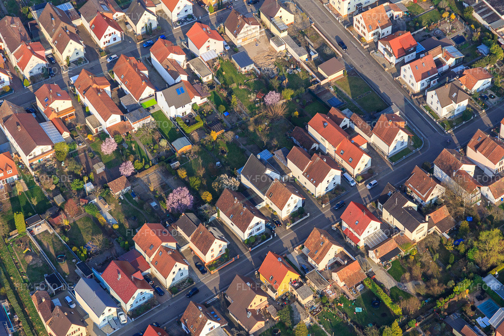 Luftbild: Waldstraße x Südendstr in Kandel im Bundesland Rheinland-Pfalz in Deutschland. Foto: IMG_113210.jpg vom 23.03.2019 durch Werner Riehm/FLY-FOTO.de