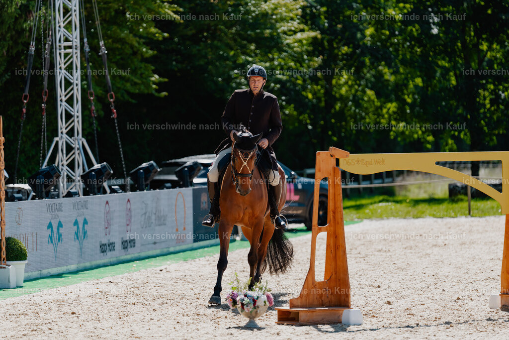 Gernot25_FHC2025-08325 | working equitationturnier fotograf videograf stoibphotography marixx film working equitation deutschland reitsport turnierfotografie eventfotografie equestrian events