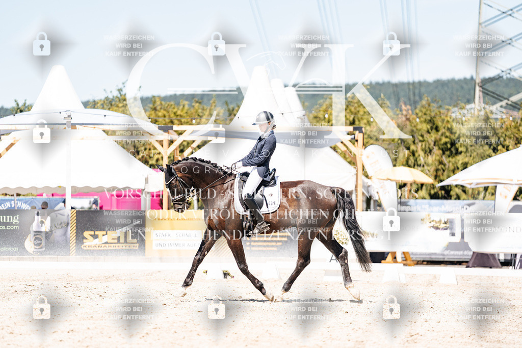 CK900267 | Turnierfotografie Pferdefotografie Trier Rheinland-Pfalz Pferdesport Reitsport Tierfotografie Sportfotografie Pferdevideo Pferdevideografie Equestrianvideography equestrianphotography  - Realisiert mit Pictrs.com