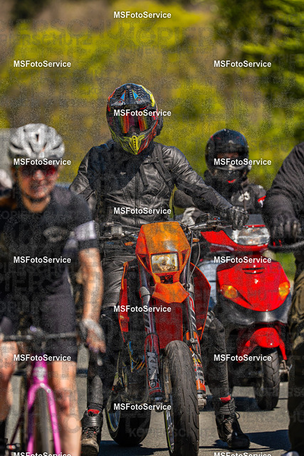 MSFotoServiceXXX203 | MSFotoService - Realisiert mit Pictrs.com