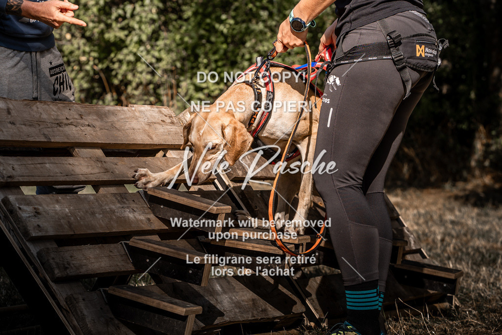 nelerasche_slaw24So_220 | nelerasche