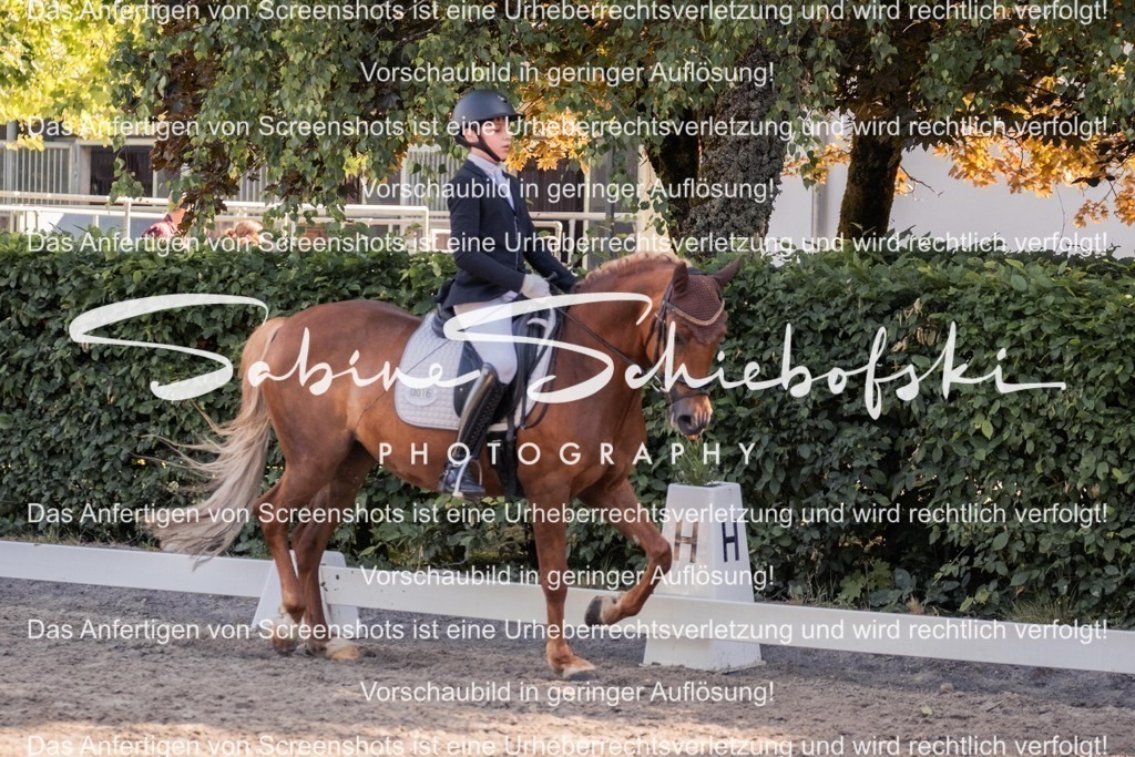 2025_05_31_DSCF2972 | People- und Tierfotografie, Imageaufnahmen, Veranstaltungsfotografie und Wandbilder aus der Natur ★ Made in Germany ✔️ Druck + Downloads ✔️ Naturfotografie in Top Qualität ★ schneller Versand, weltweite Lieferung! - Realisiert mit Pictrs.com