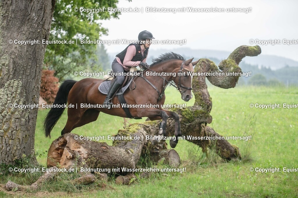 20250726_Vielseitigkeitslehrgang-Marbach_0305 | Foto: Thomas Hartig
