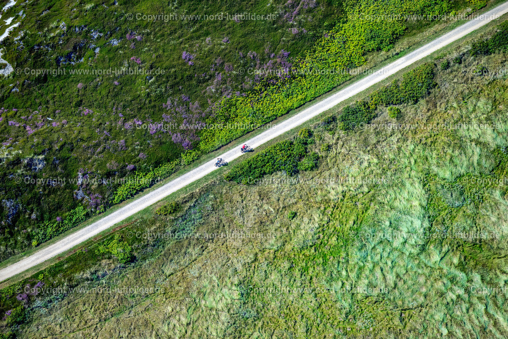 Sylt_Rantum_Radfahrer_ELS_5477130825 | SYLT 13.08.2025 Streckenführung des Rad- Weges an der Hörnumer Straße in Sylt Nordsee - Insel im Bundesland Schleswig-Holstein, Deutschland. // Route of the cycle path on Hoernumer Strasse in Sylt, North Sea island in the federal state of Schleswig-Holstein, Germany. Foto: Martin Elsen