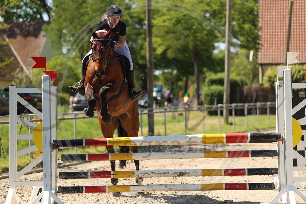 994A5790 | sabrinanicolaifotografie - Realisiert mit Pictrs.com