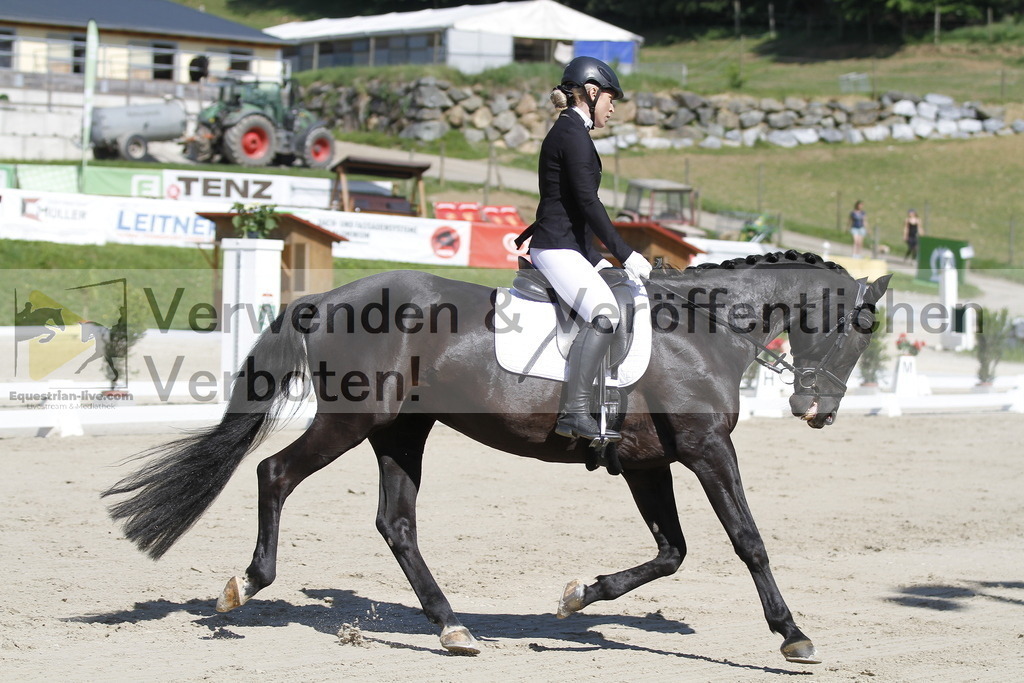_MG_6719 | equestrian-live-com