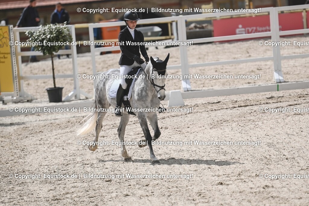 20250516_CCI2_Dressur_0518 | Foto: Thomas Hartig