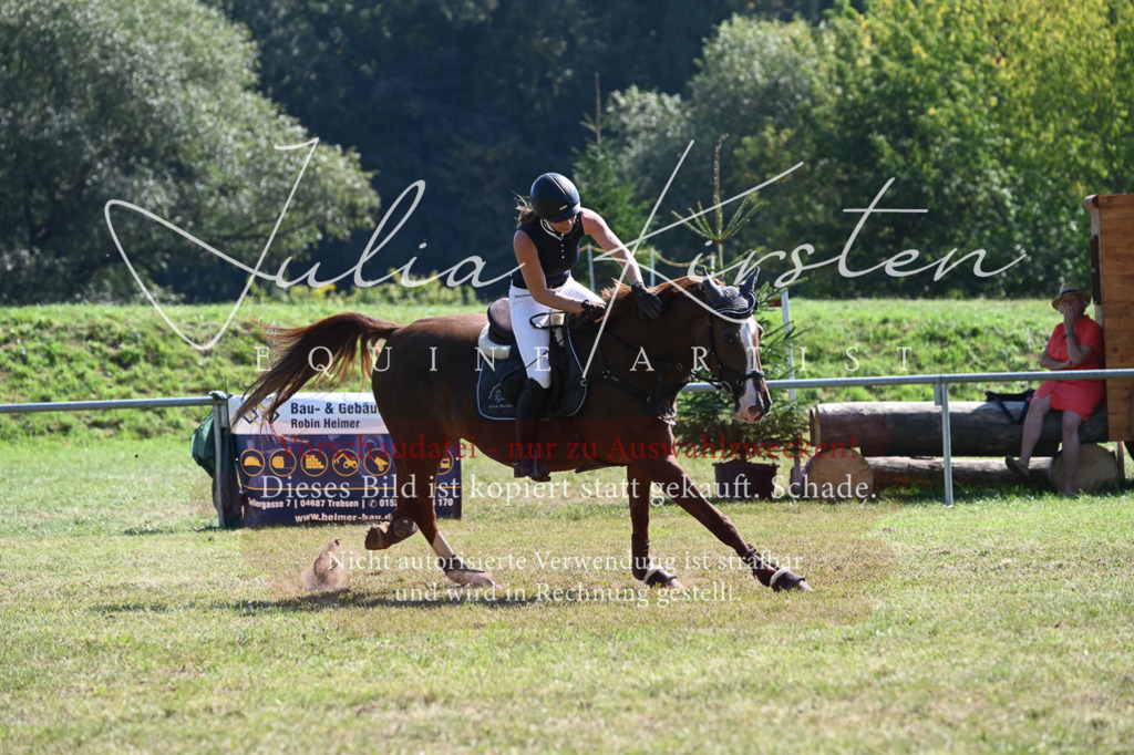 DSC_6477 | Pferde- und Turnierfotografie in Westsachsen. Pferdeportraits, Auftragszeichnungen und intuitive Kunst.