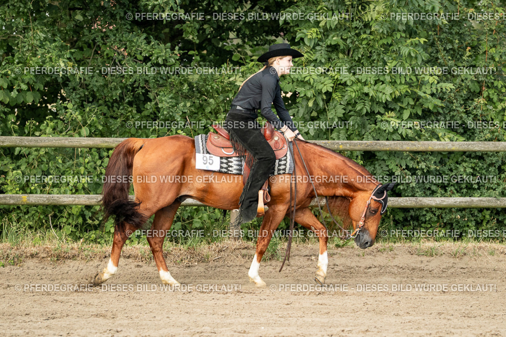 DSC06070 | Pferdegrafie