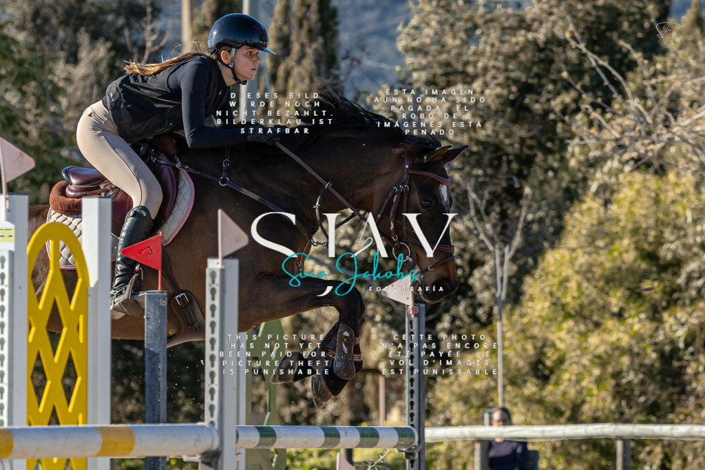 IMG_1987 | s-jay-photography - Realisiert mit Pictrs.com