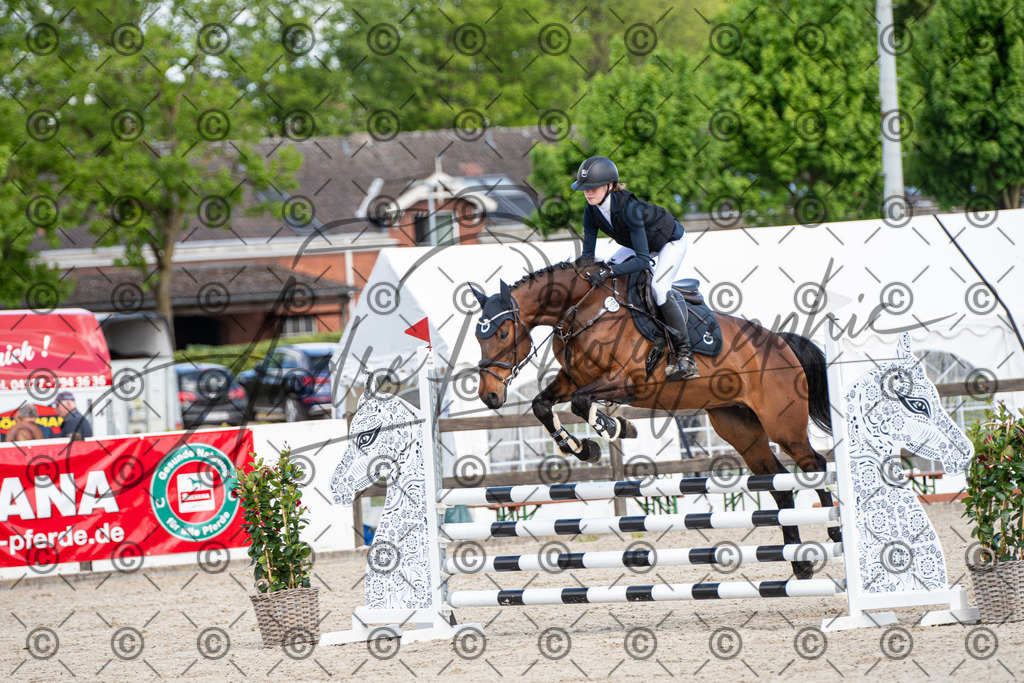 KPT_5066 | andre_photographic