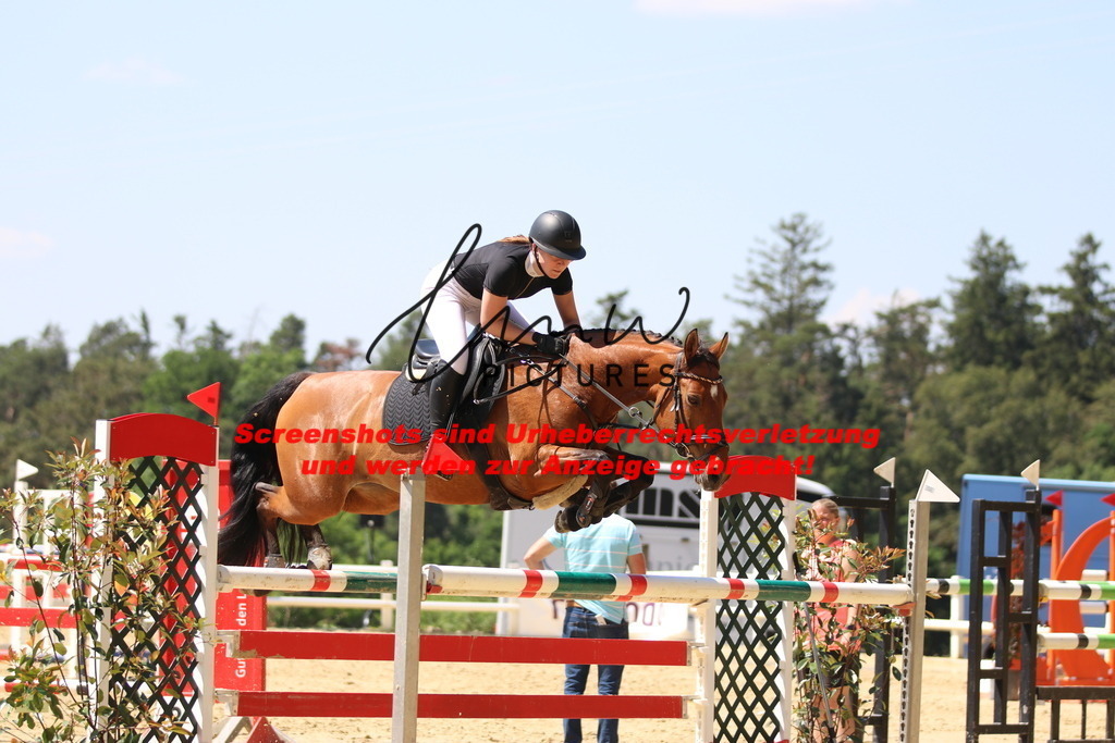 IMG_2588 | lmwpictures - Realisiert mit Pictrs.com