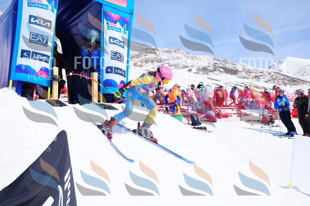 DSC_5545 | holidayphoto