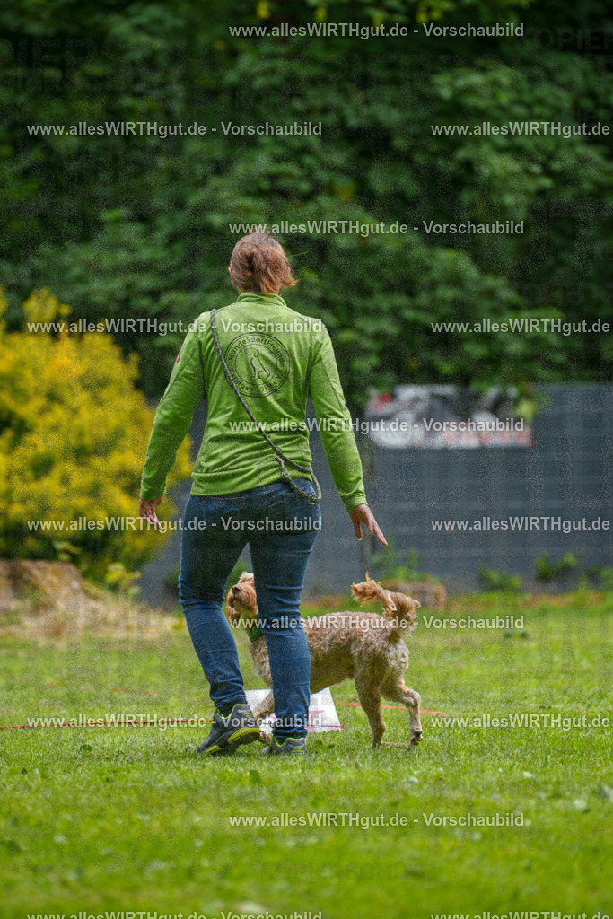 @allesWIRTHgut_Tierfotografie - www.allesWIRTHgut.de - 092437-7R507078 | Professionelle Tierfotografie in Mönchengladbach von Daniel Wirth (allesWIRTHgut). Liebevolle & natürliche Bilder von Hunden & Katzen für unvergessliche Erinnerungen.