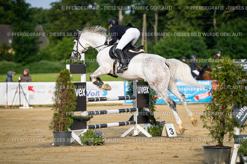 DSC02233 | Pferdegrafie