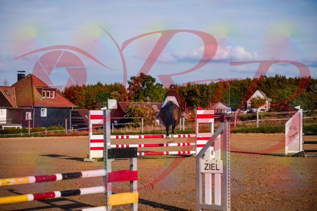 2026_10_03_Siefer-Hof_171039_Z81_07587897 | Professionelle Reitsport-, Turnier- und Eventfotografie von Robert Broda. Galerien mit ausgewählten und bearbeiteten Bildern direkt online ansehen und bestellen.