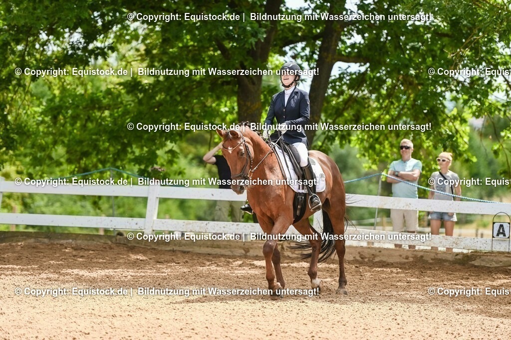 20230716_03_Dressurprfg. Kl.L - Tr._0372 | equistock