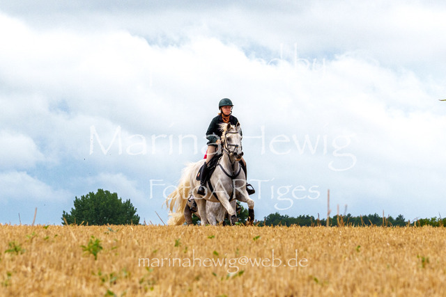 Jagd Knoop 26_MarinaHewigMCH02267 | Fotografie, FotoArt, PferdesportArt, Pferdesportfotografie, Landschaftsfotografie, Reisefotografie, Reise, Pferde - Realisiert mit Pictrs.com