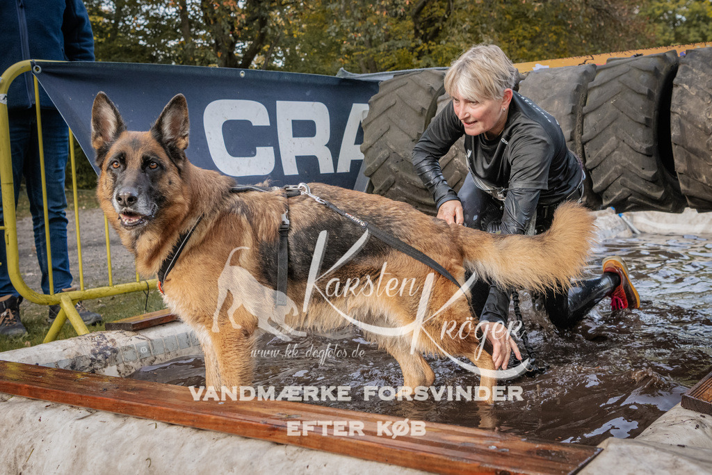 1432_ZZ94654 | kk-dogfotos