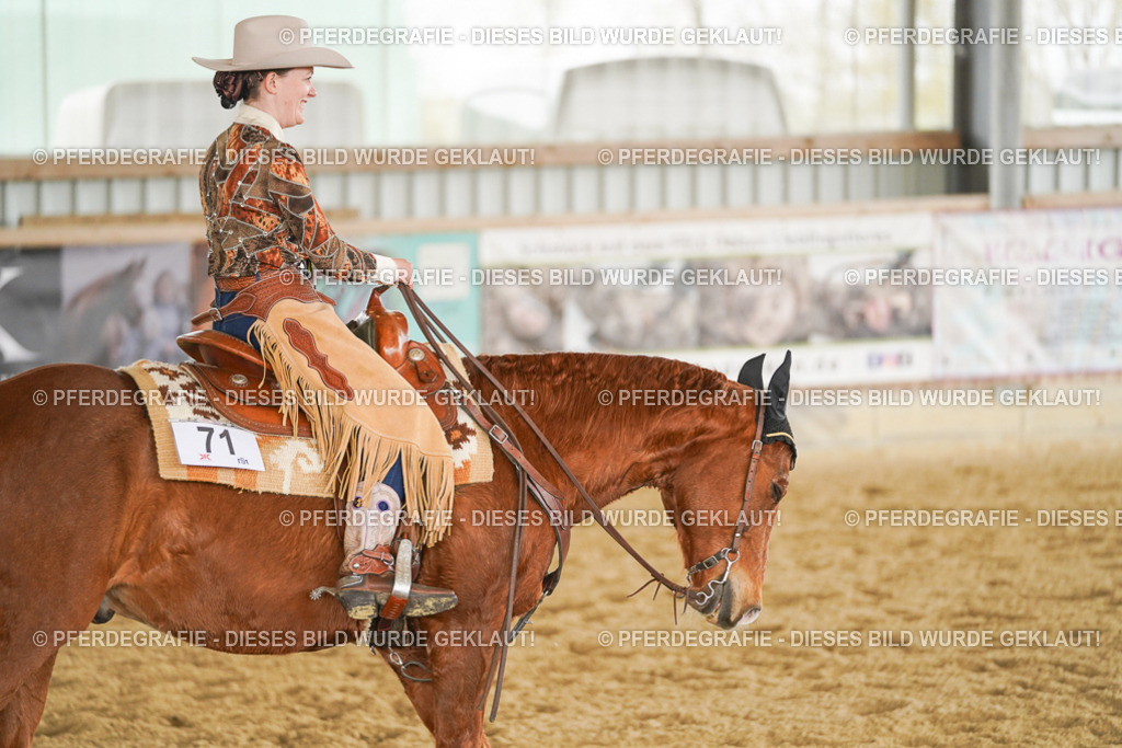 DSC04905 | Pferdegrafie