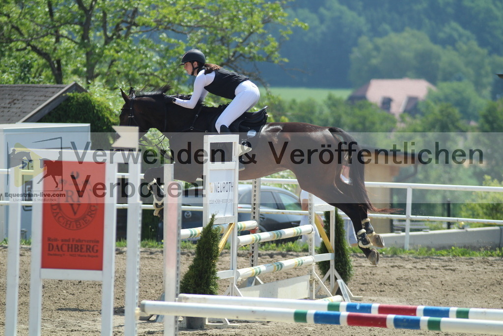 IMG_3529 | equestrian-live-com