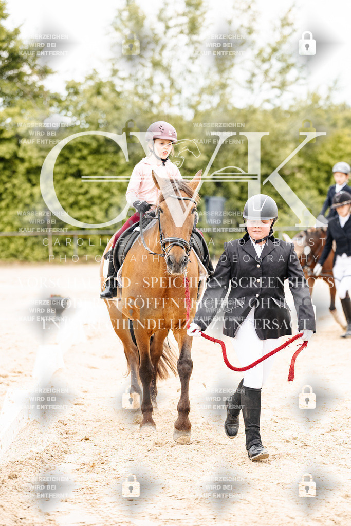 CK903726 | Turnierfotografie Pferdefotografie Trier Rheinland-Pfalz Pferdesport Reitsport Tierfotografie Sportfotografie Pferdevideo Pferdevideografie Equestrianvideography equestrianphotography  - Realisiert mit Pictrs.com