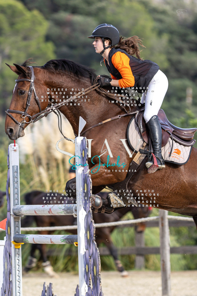 IMG_4783 | s-jay-photography - Realisiert mit Pictrs.com