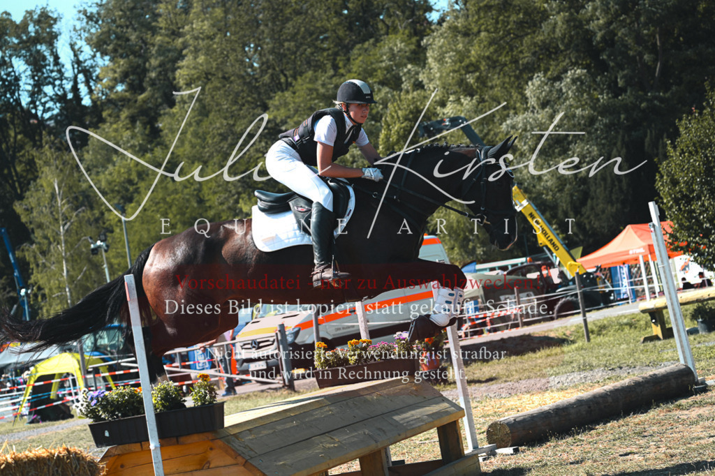 DSC_8356 | Pferde- und Turnierfotografie in Westsachsen. Pferdeportraits, Auftragszeichnungen und intuitive Kunst.
