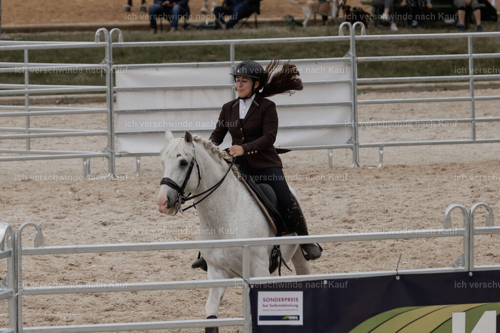 WE__Stoib_Rinder_PI2025_3183 | Pferd International München 2025