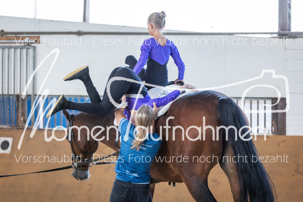 SS-Maxi-209 | MomenTaufnahmen Pferdesportfotos