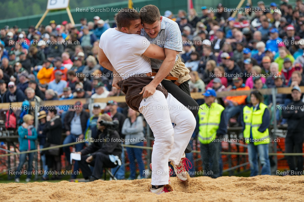 RB_08282-2 | René Burch leidenschaftlicher Fotograf aus Kerns in Obwalden.  Hier finden sie Sport, Landschaft und Natur Fotografie.
 - Realisiert mit Pictrs.com