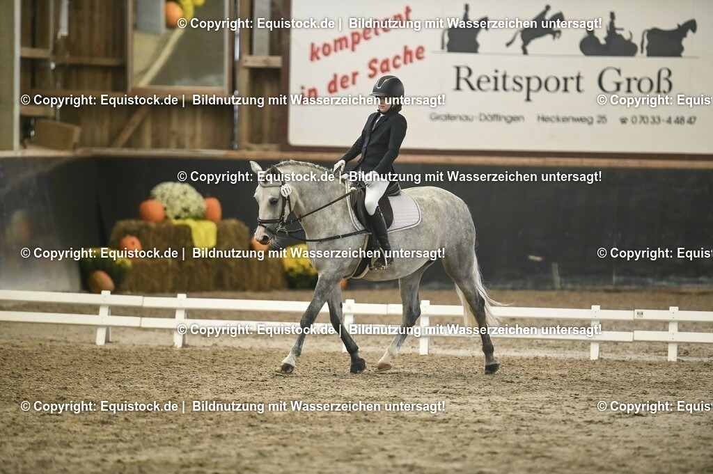 20231029_02_Reiter-WB_Schritt-Trab_Abteilung-02_0031 | Foto: Thomas Hartig