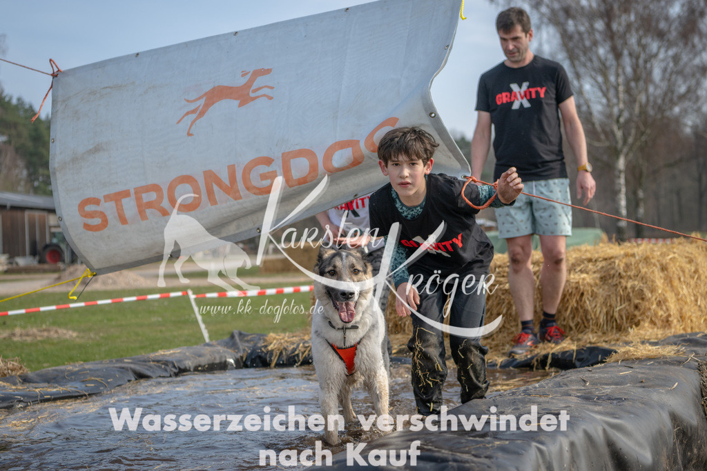 _ZZ93480 | kk-dogfotos