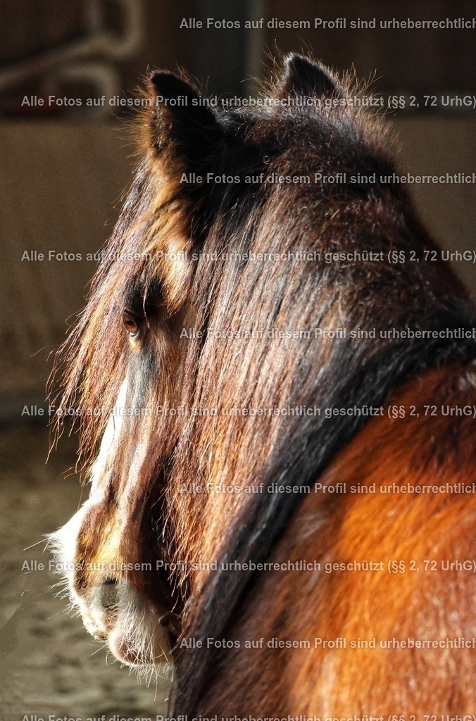 20240127134020_0C4A0323_3-01 | krollfotografie - Realisiert mit Pictrs.com