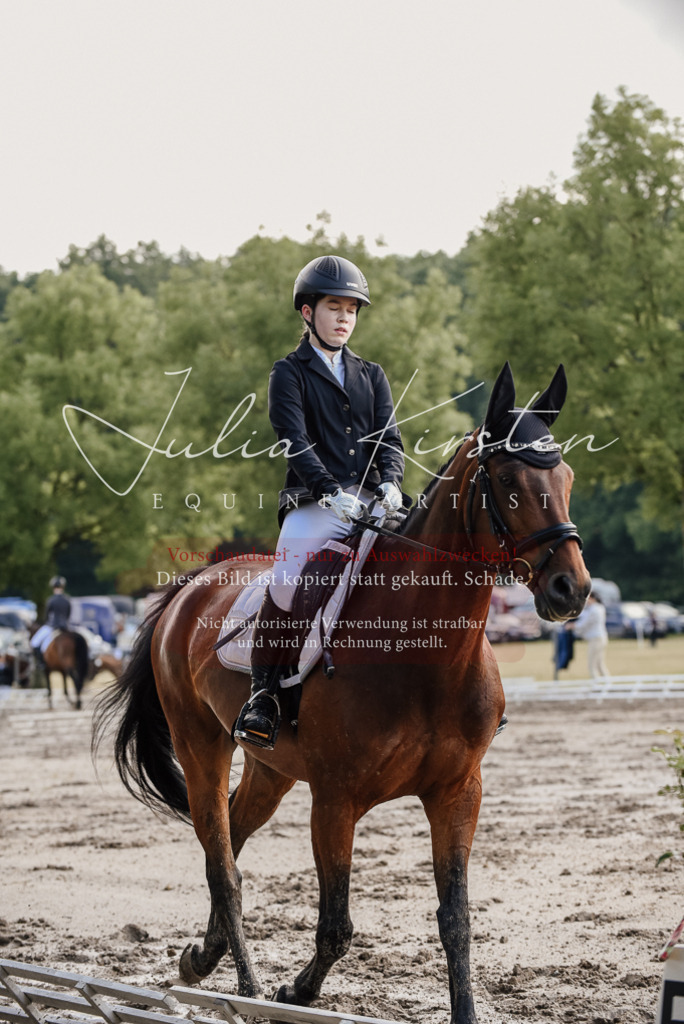 DSC_7990 | Pferde- und Turnierfotografie in Westsachsen. Pferdeportraits, Auftragszeichnungen und intuitive Kunst.