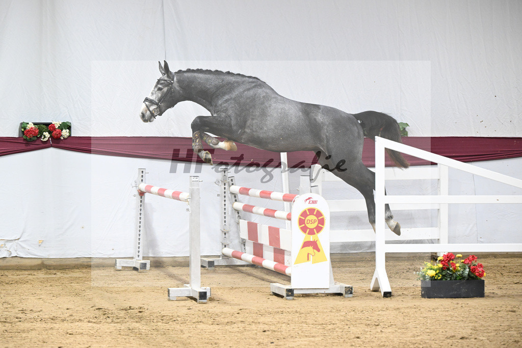 Kat-Nr. 97 Diamant De Semilly - Untouchable_Marian Mueller u Dr. Brigitte Seemann_47253170 | hf-fotografie - Realisiert mit Pictrs.com