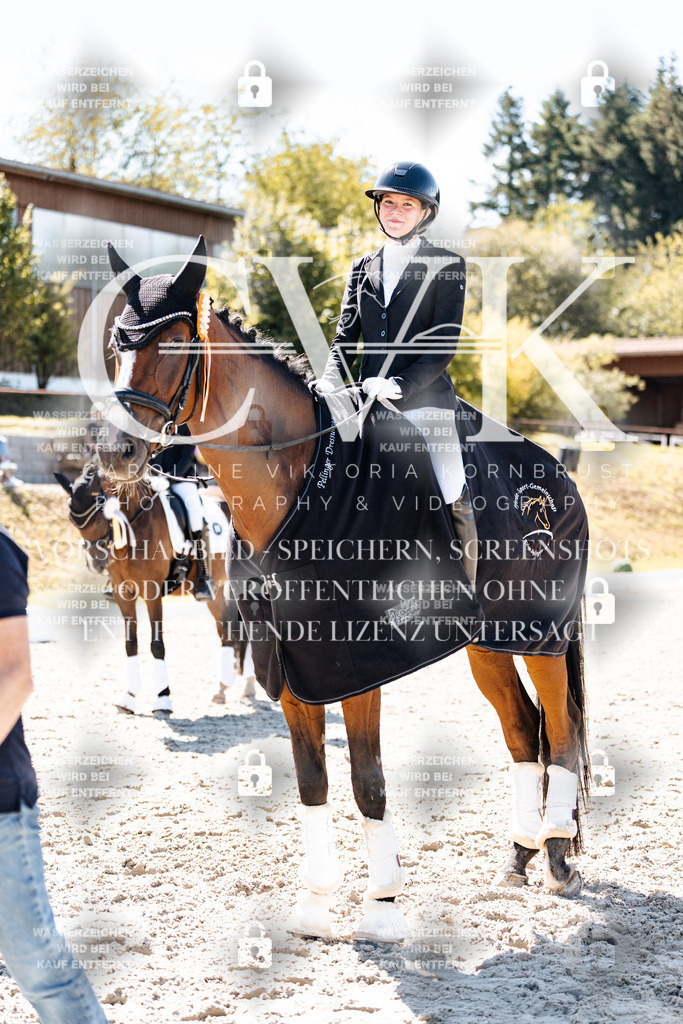 CK909971 | Turnierfotografie Pferdefotografie Trier Rheinland-Pfalz Pferdesport Reitsport Tierfotografie Sportfotografie Pferdevideo Pferdevideografie Equestrianvideography equestrianphotography  - Realisiert mit Pictrs.com