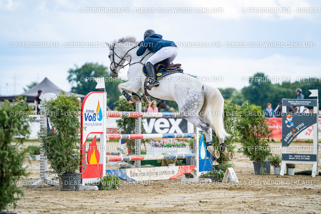 DSC05480 | Pferdegrafie