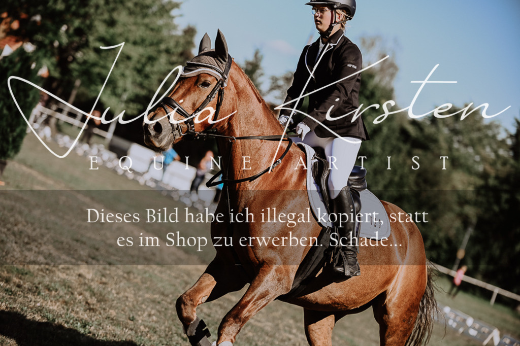 DSC_9357 | Pferde- und Turnierfotografie in Westsachsen. Pferdeportraits, Auftragszeichnungen und intuitive Kunst.