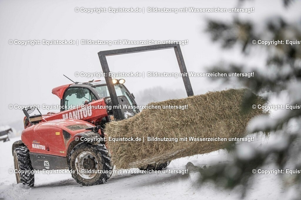 20210210_Hoflader_0006 | equistock