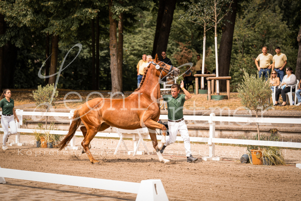 4.Fr00144 | Leoni Ertmer Photography - Realisiert mit Pictrs.com