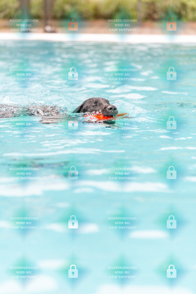 _HP_7247_1000o | HetPix, HetPix Fotodesign, Fotografie, Fotodesign, Webshop, Sportfotografie, Portraitfotografie, Onlineshop, Sportfotografie, Polch, Motorsportfotografie, Eventfotografie