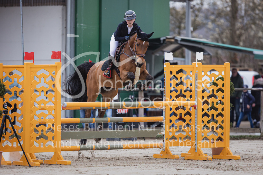 230408_Frühlingsfest_Stil-L-1-817 | Deine schönsten Turniermomente als professionelle Fotos! Entdecke hochwertige Pferdesport-Fotografie im Online-Shop. Jetzt Fotos finden & bestellen!