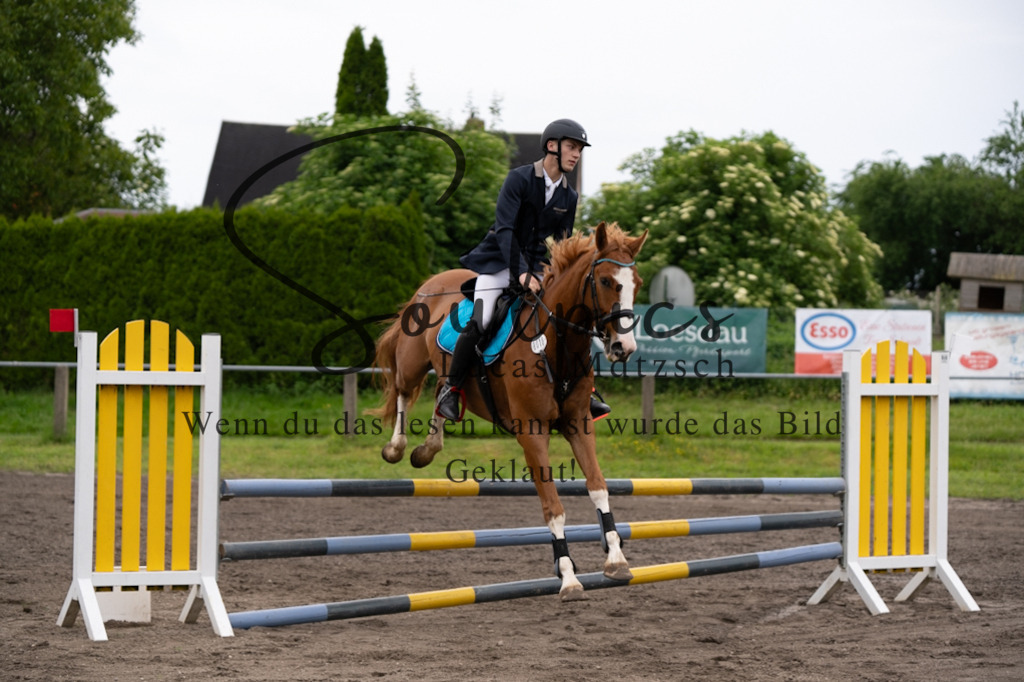 A7V03905 | Pferdefotograf